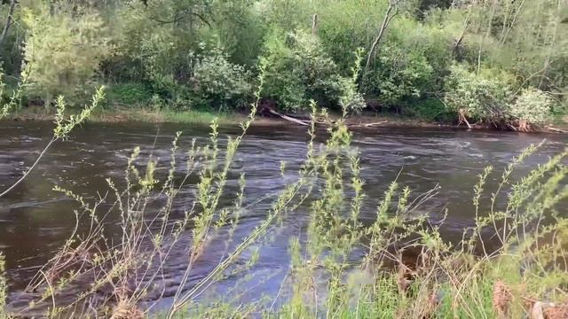 Цветотип «Лето». ПСИХОЛОГИЯ ЦВЕТА смотреть онлайн