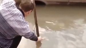 Мужик упал в лужу :) прикол