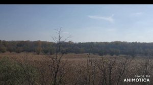 Екатериноградская впадина