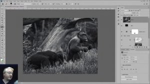 Photoshop 10 - Colour Correcting B&W's and Adding realistic Film Grain