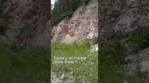 Едим к истокам реки Томь. Красивая горка. Росавтопром.