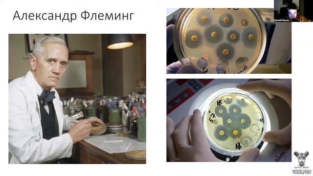 Все по антисептики и антибиотики. Все как у зверят