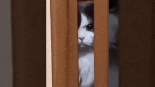 гм...