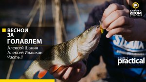 Весной за голавлем. Часть 2. Алексей Ивашков, Алексей Шанин. Anglers Practical.