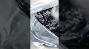 заказать очищенное Алтайское мумиё
