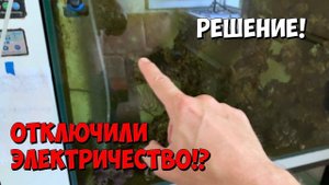 Решение при отключении электричества | Аквариум