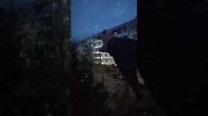 Майские жуки 4