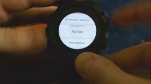 Garmin Fenix 5X Plus Sapphire (Интерфейс)