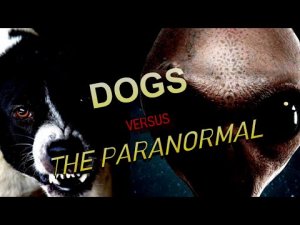 “Dogs Versus The Paranormal” | Paranormal Stories