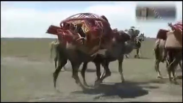 Туган жер смотреть онлайн