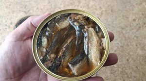 КОНСЕРВЫ ДОБРОФЛОТ ШПРОТЫ В МАСЛЕ ИЗ БАЛТИЙСКОЙ КИЛЬКИ ОБЗОР РЫБНЫЕ КОНСЕРВЫ ГОСТ