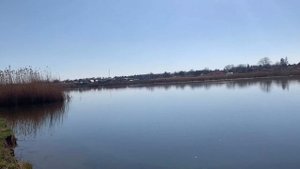 🐟ОБЗОР НАШЕГО ПРУДА И ТАК ЖЕ ЗАРЫБЛЕННЫЙ ПРУД🐟🐠