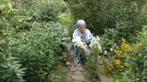 Практичные приёмы в дизайне сада