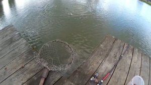 Подмосковный платник Рыбалка в Софрино