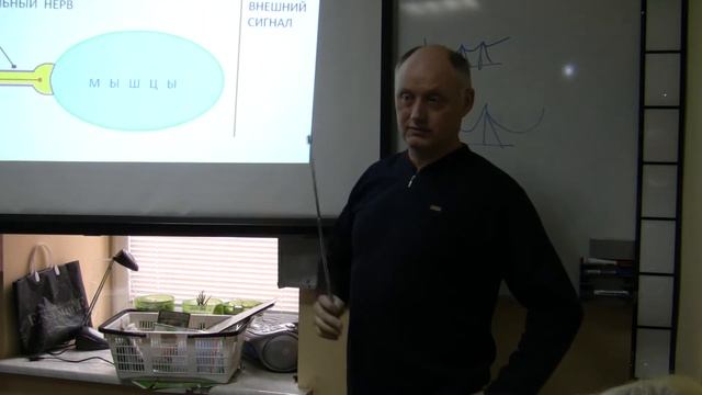 Аппликаторы Ляпко Часть 5 смотреть онлайн