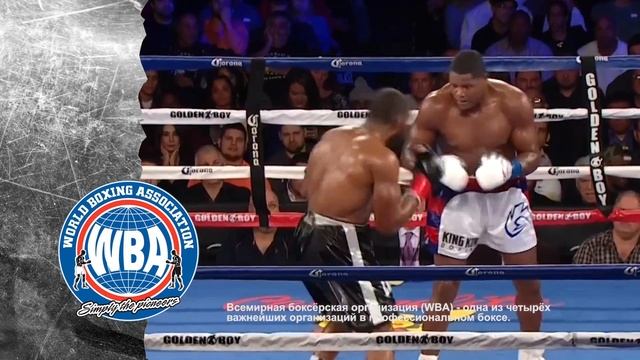 БОКС от А до Я WBA выпуск 42 смотреть онлайн