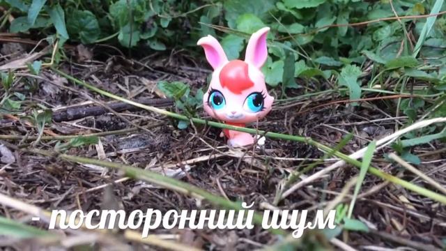 LPS: как снять видео с петом на природе? Плюсы и минусы 🌙 смотреть онлайн