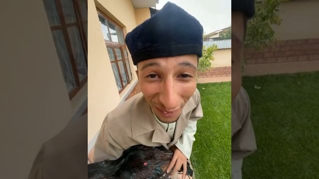 Xoliqjon vines -xo'rozboz ? |#yangisi #xoliqjon_vines #xoliqjonvines #instagram_yulduzlari #dilime смотреть онлайн