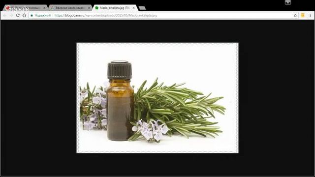 Эфирное масло эвкалипта смотреть онлайн
