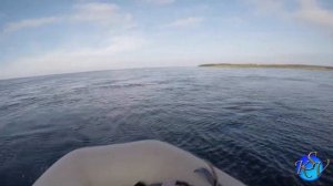 Ловля Камбалы в Белом море! Выживание на необитаемом острове. Часть 1