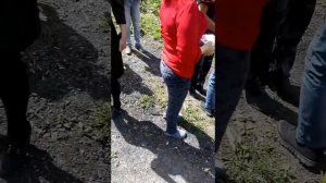 Подарили машину родителям