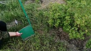 Грядка под огурцы Чудо-лопатой Отца Геннадия