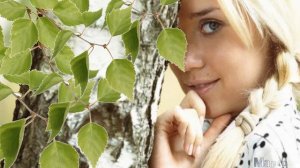 Свет берез...шум берез...