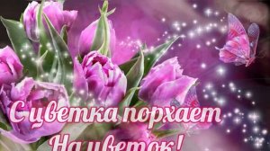 ? С Днём Рождения ?Самое Красивое Поздравление с Днём Рождения ? Открытки На День Рождения ?