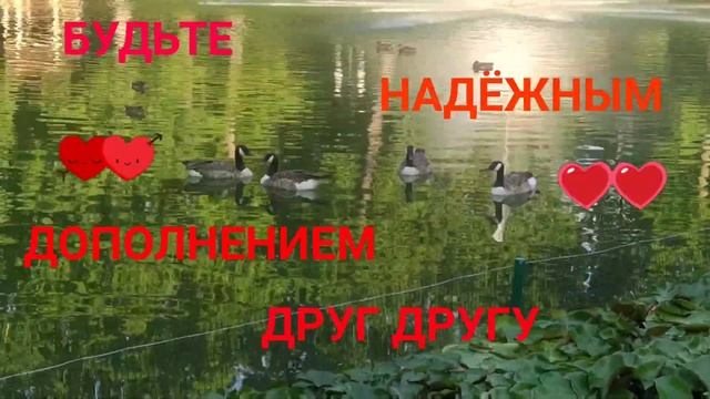 СИМВОЛ ЛЮБВИ И ВЕРНОСТИ смотреть онлайн