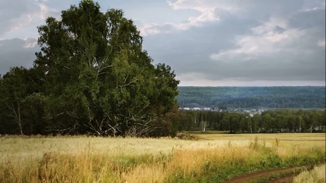 Знайте, Господь исполняет не все благие желания а только те... Преп. Амвросий Оптинский о важном смотреть онлайн