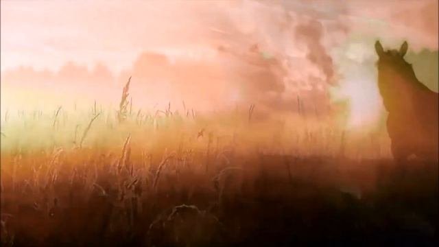 Выйду ночью в поле кавер. Конь в поле ночью. любэ конь.