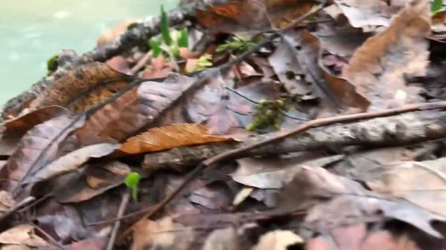 О любви к ближнему. Преподобная игуменья Арсения Себрякова. смотреть онлайн