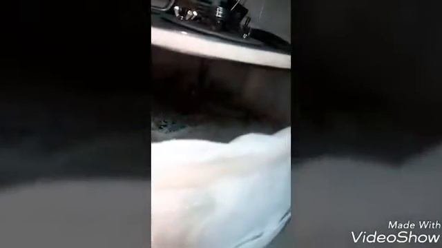 Насос для горячего пива(сусла)