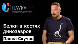 Павел Скучас - Белки в костях динозавров: миф или реальность