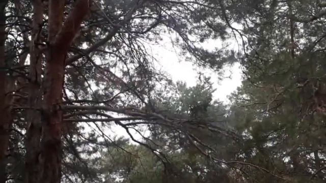 Срыв  это обнуление воздержания? Или точка самопознания? #половоевоздержание #воздержание