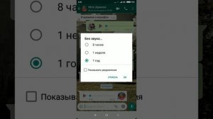 Как убрать звук уведомлений в WhatsApp