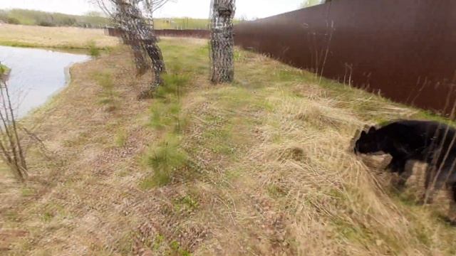 Кто куда, а мы на дачу )) смотреть онлайн