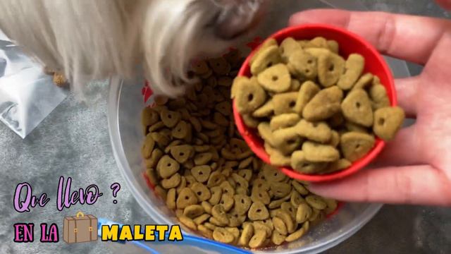 Que llevo en la MALETA para mi PERRO Coton de Tulear I Lorentix