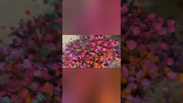 как вам экибана из сухоцветов?? смотреть онлайн