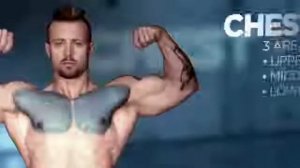 Анатомия мышц и упражнения для набора мышечной массы