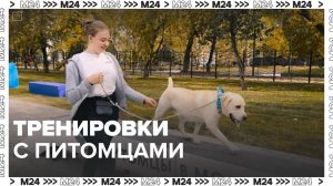 Места для тренировок с животными — Москва24|Контент