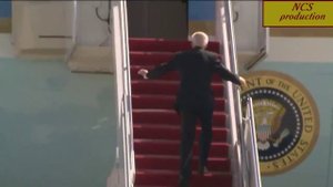 Байден Десперадо / Biden Desperado