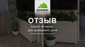 ОТЗЫВ. Деревянный ящик для растений