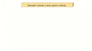 Урок 80. Де на землі є мікроорганізми? Хто такі мікроби й бактерії? Віруси. Я досліджую світ 3 клас