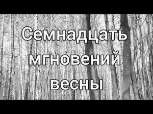 "Семнадцать мгновений весны"