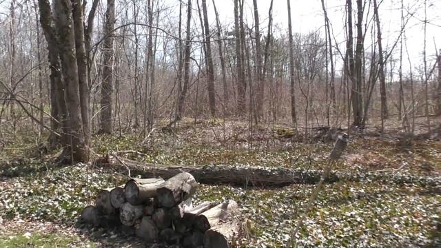 Video in HD of Panasonic HC-WXF991 4K 2 of 2 смотреть онлайн