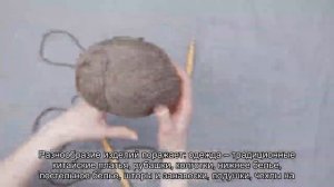 Рай для шопоголиков или что можно привезти из Китая