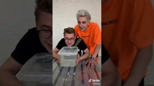 Самые крутые видосы из тик тока Влада А4