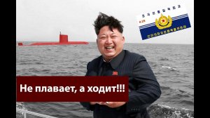 ВМФ Северной Кореи. Что там  у Ким Чен Ына.