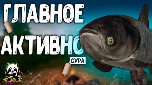 RF4 ГЛАВНОЕ ЧТО ОНИ ТУТ ЕСТЬ И КЛЮЕТ #рр4